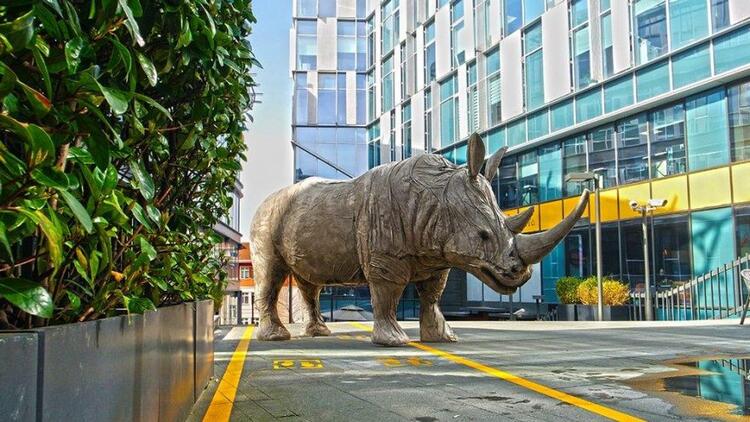 Gergedanlar Şehre Geri Dönüyor: Özge Günaydın'ın Rhinos Back in Town Sergisi ile Tanışın