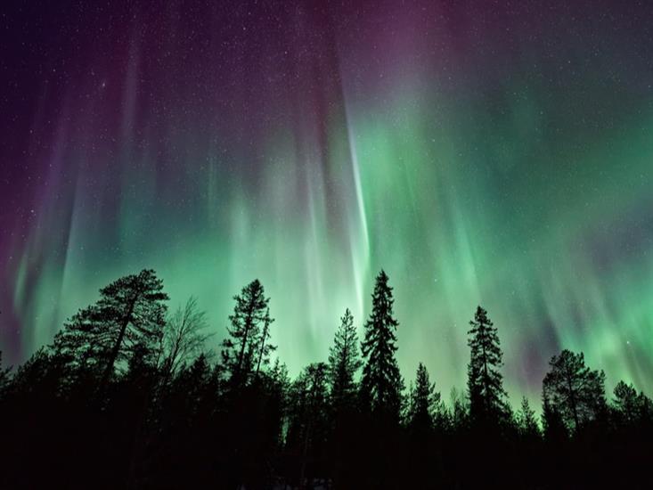 The Greatest Light Show On Earth Learn More About The Northern Lights