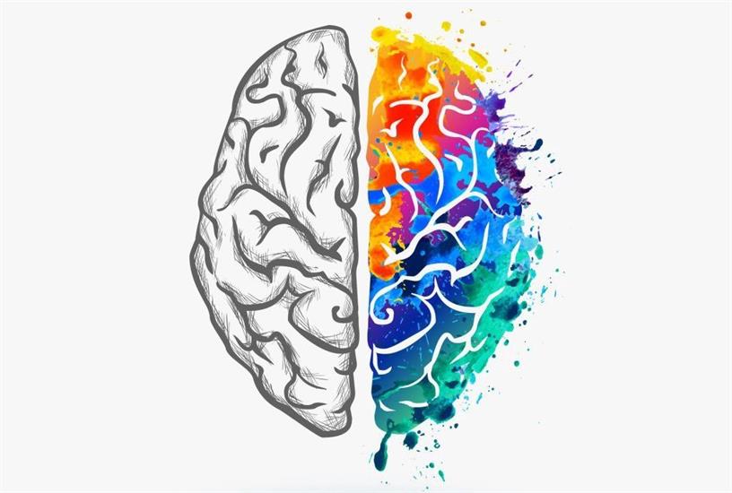 The Mystery Of The Brain