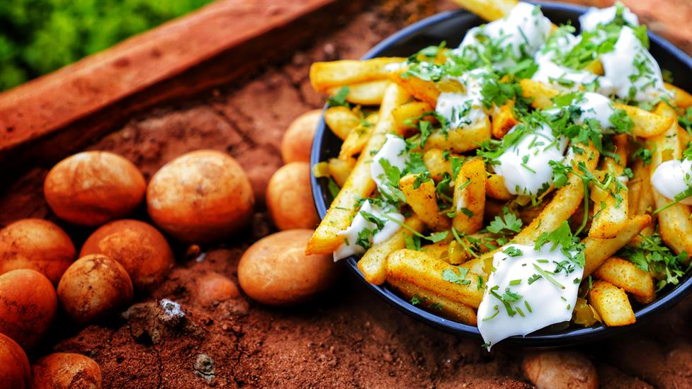 Baharatların Ülkesi: Bekran Sarsılmaz ile Hindistan Mutfağına Doğru Bir Yolculuğa Çıkın