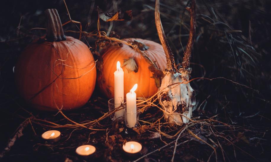 8 Adımda Her Şeyi ile Cadılar Bayramı