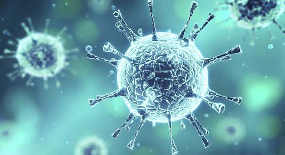 Koronavirüs (COVID-19) Hakkında Mutlaka Bilmeniz Gerekenler