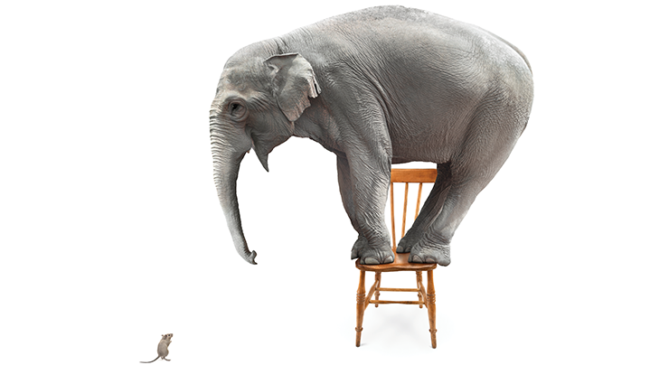 Korkunun Diğer Adı: Fobiler Hakkında Bir Öğrenme Yolculuğuna Çıkın