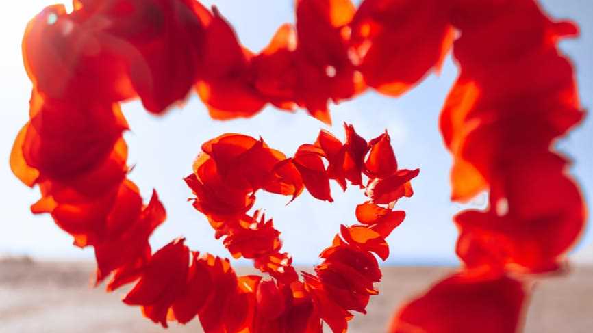 Profesyonel Koç ve Eğitmen Gökşen Şimşek Rehberliğinde Aşk Üzerine Bir Öğrenme Yolculuğuna Çıkın