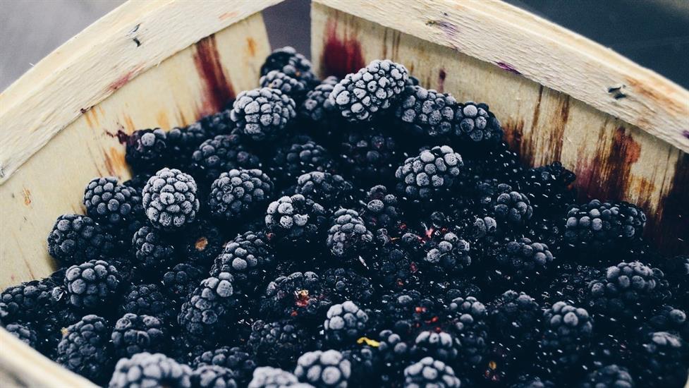 Mucizevi Meyve Karadut Hakkında Bilmen Gerekenleri Öğren