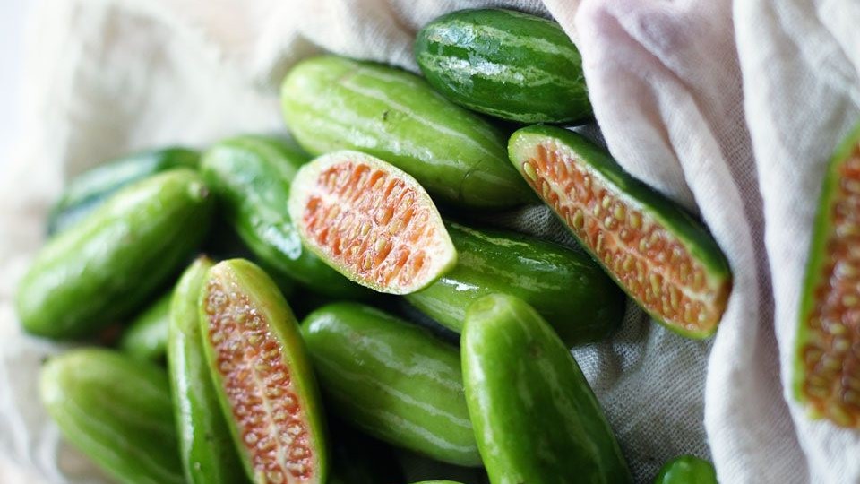 Mucizevi Kudret Narı ile Ülsere Veda Edin