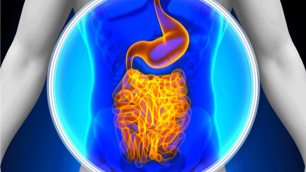 1-31 Mart Farkındalık Ayı: Kolorektal Kanser Nedir?