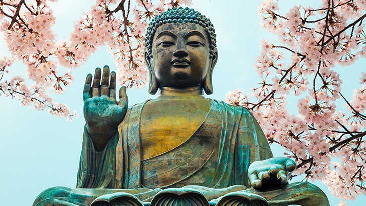 Mudraların Mistik Dünyasını Keşfedin