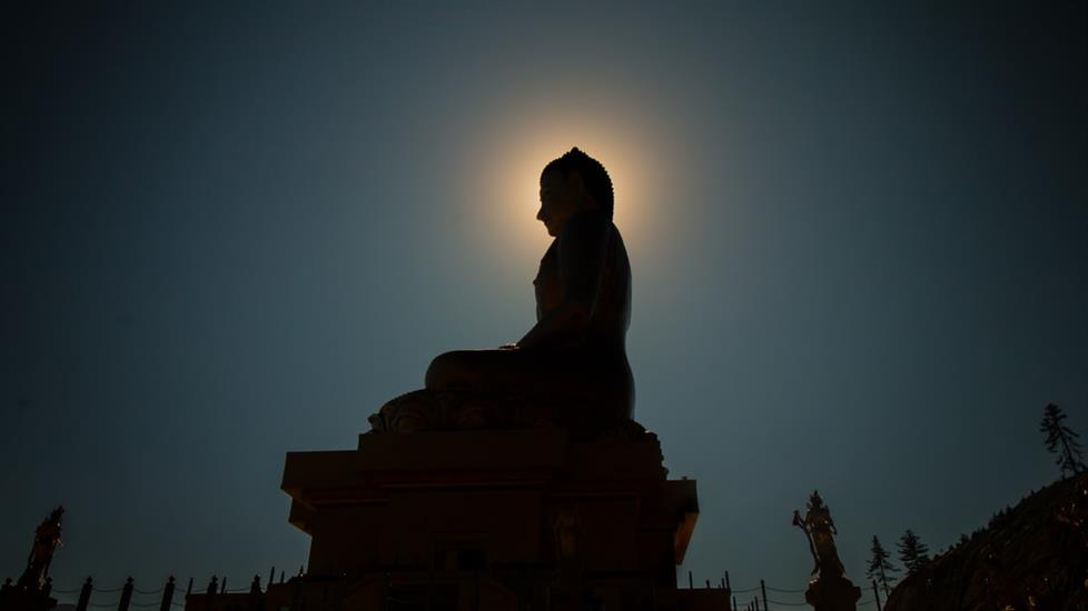 Burada ve Şu Anda: Nirvana Üzerine Hazırlanmış Bir Öğrenim Yolu