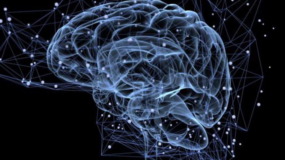 Nöroloji Uzmanı Timur Yılmaz'dan Zihnin Sırlarını Öğrenin