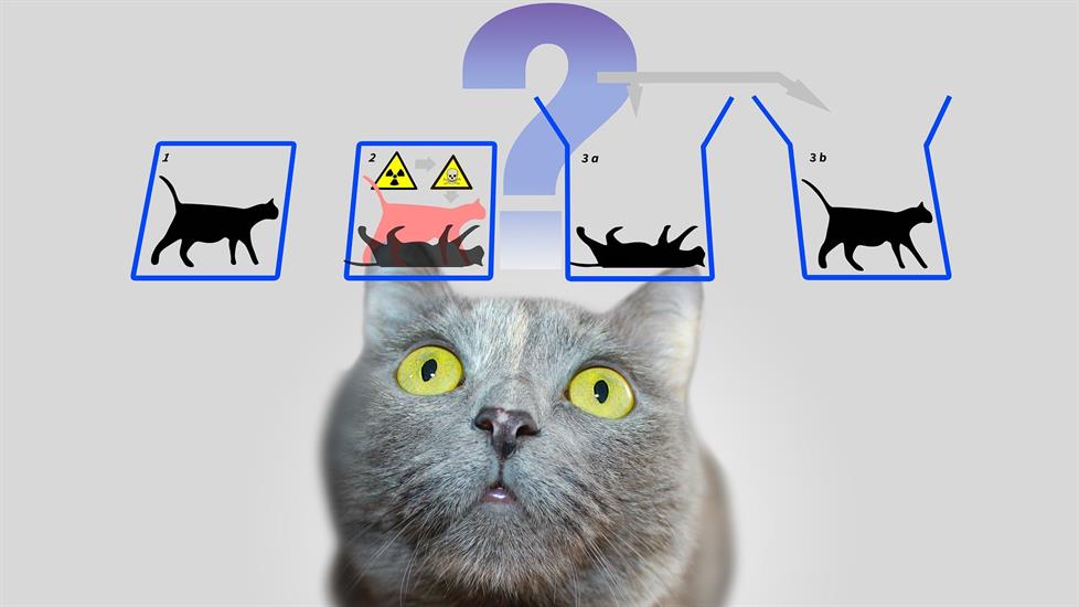 Paradokslar Üzerine Bir Öğrenme Yolculuğuna Çıkın