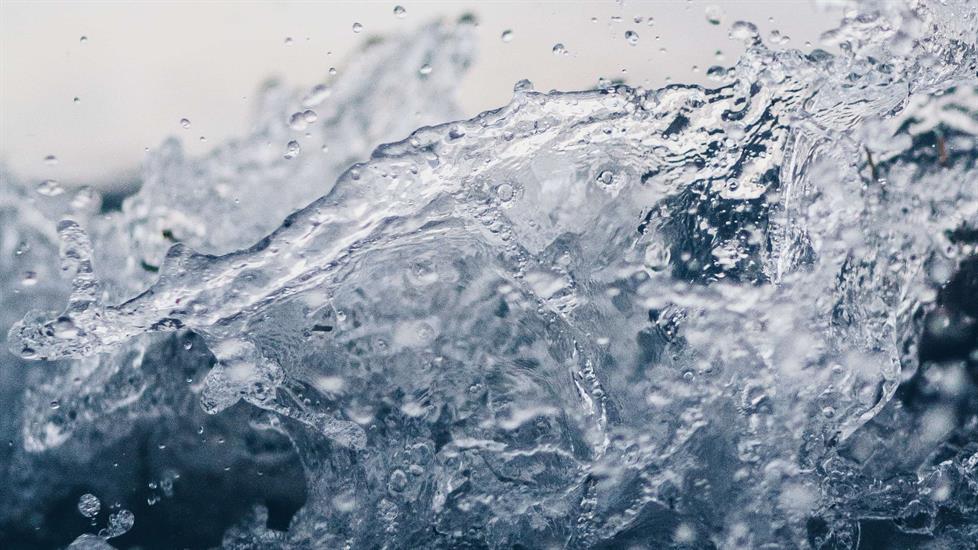 Dünya Su Günü Kutlu Olsun: 7 Adımda Doğru Su Kullanımı Hakkında Bilgilenin