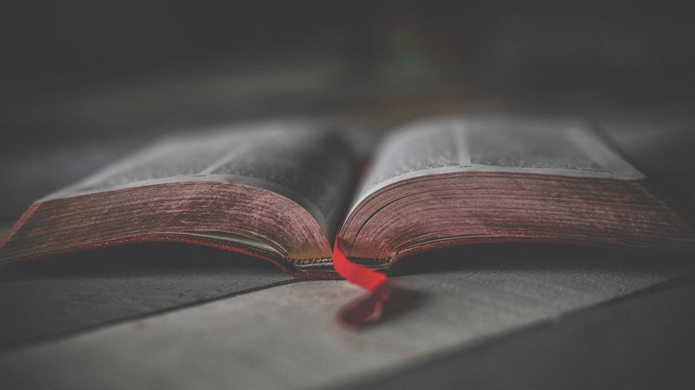 Türkçenin Kökeni Hakkında Uzman Olma Yolculuğuna Çıkın