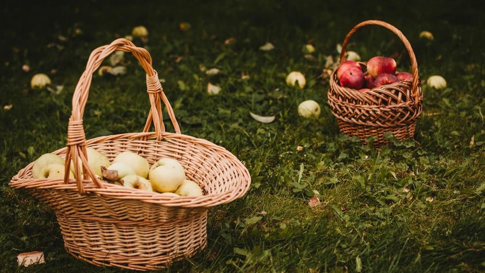 Yatırımcılara Tüyolar: Irmak Nural'dan Portföy Çeşitlendirme İpuçları Edinin 